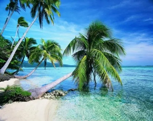 Devs Behind Marshall Islands’ National Crypto Confirm Plans to Launch This Year