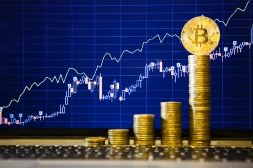 Weiss Ratings: в 2019 году цена биткоина достигнет рекордного максимума